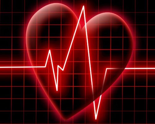 Как Лечить Гипертрофию Левого Желудочка Сердца