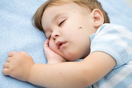 Как защитить кожу ребенка от укуса комаров
