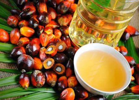 Пальмовое масло: вред реальный и выдуманный