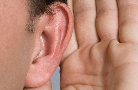 Характеристика наружного уха