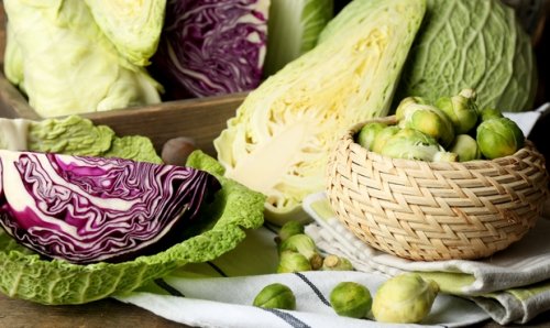 Полезные свойства капусты для здоровья