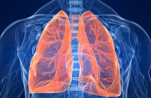 Застойная пневмония: симптомы и лечение