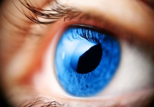 Диагностика и методы лечения глаукомы
