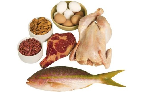 В каких продуктах содержится протеин