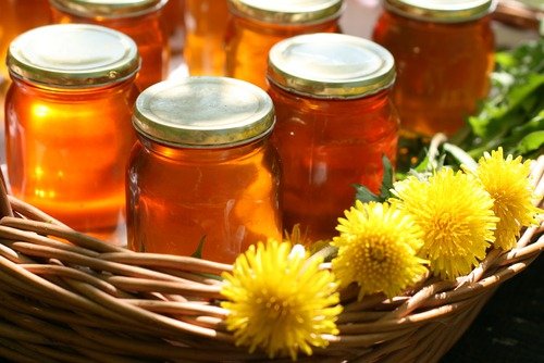Мед из одуванчиков: польза и рецепт приготовления