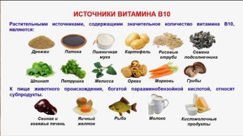 О витамине В10 и значении для человеческого организма