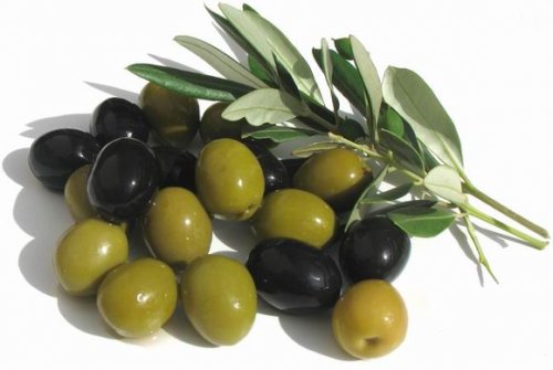 Оливки: полезные свойства