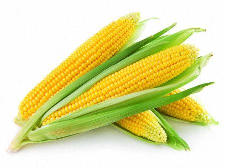 Кукуруза: полезные свойства