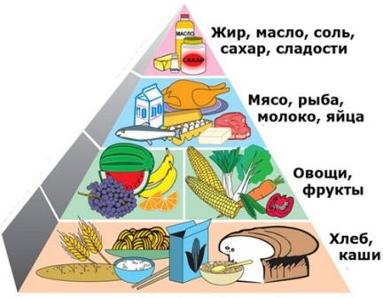 Как устроена пищевая пирамида