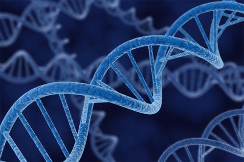 Могут ли онкозаболевания передаваться генетически