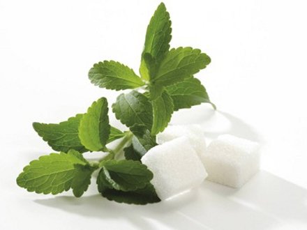 Замените вредный сахар полезной стевией