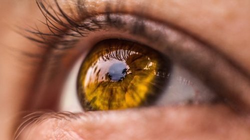Грыжа глазная — ее разновидности, причины возникновения. Лечение и профилактика