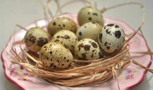 Полезные свойства скорлупы перепелиных яиц