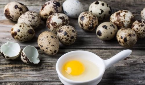 Чем полезны перепелиные яйца и почему их нужно употреблять