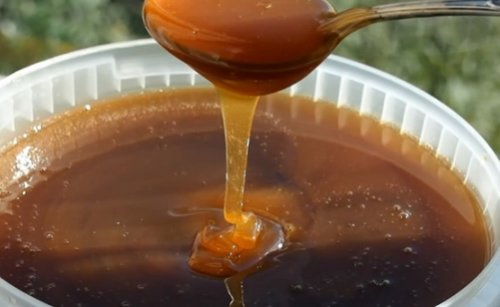 Гречишный мед: полезные свойства и применение в народной медицине