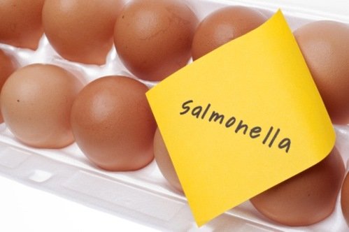 Сальмонеллез у Взрослых – Симптомы и Лечение