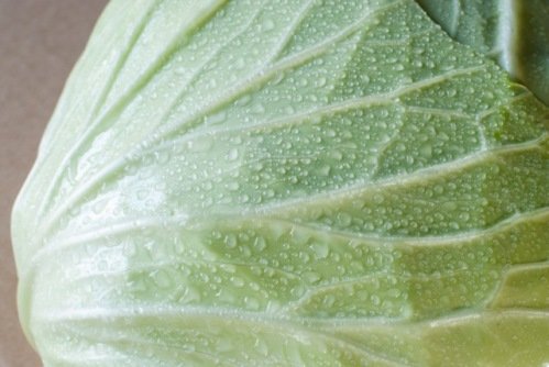 Как Уменьшить Содержание Нитратов и Пестицидов Во Фруктах и Овощах