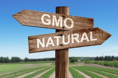 Вред ГМО – Мифы и Реальность