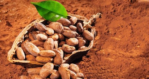 Какао: Удивительный продукт, насыщенный антиоксидантами