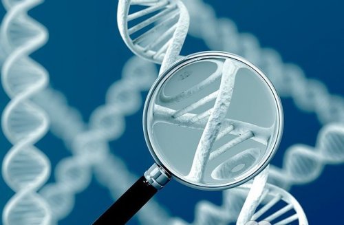  Генетические заболевания. Что делать и как их определить?