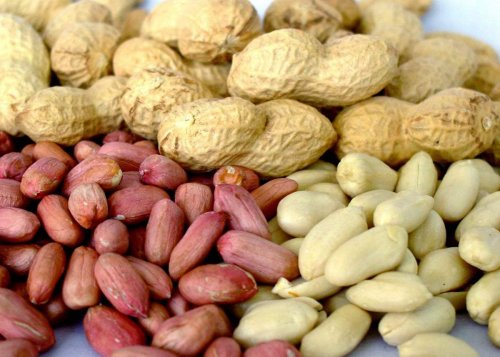 Польза арахиса для женщин: что хорошего в земляном орехе
