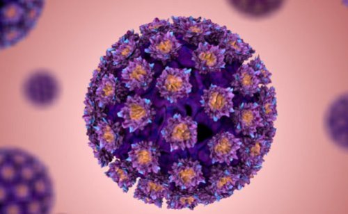 Вирус папилломы человека – ВПЧ