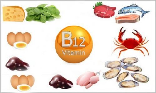Чудо-витамин B12: в каких продуктах он содержится?