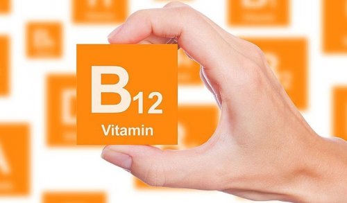 Дефицит и избыток витамина B 12: что опаснее?