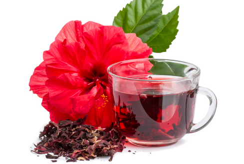 Полезные свойства гибискуса: показания к употреблению чая каркаде
