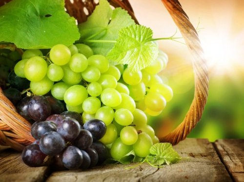 Зеленый виноград: польза и вред для здоровья