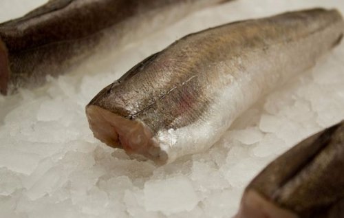Рыбка хек — польза и особенности состава вкуснейшего морепродукта