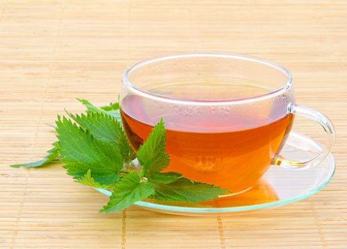 Чай из крапивы: польза для организма