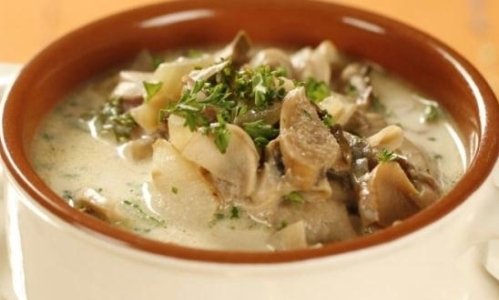 Рецепты грибного супа из подберезовиков