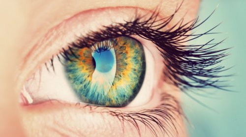 Секрет хорошего зрения - как сохранить зрение
